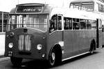 Beadle-Bedford Beadle 1949 года